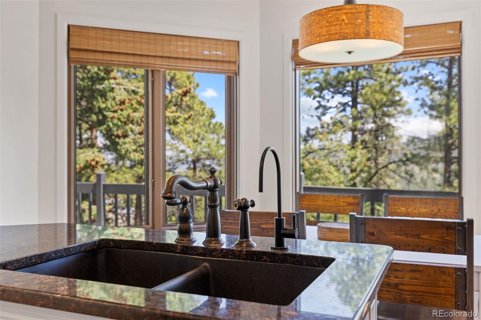 MLS Image #42 for 6159 s skyline drive,evergreen, Colorado