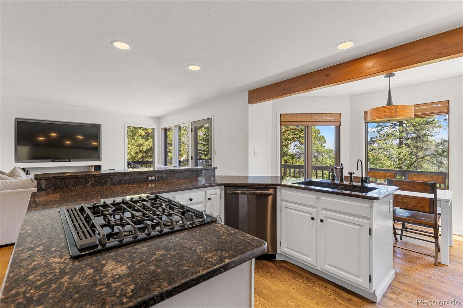 MLS Image #43 for 6159 s skyline drive,evergreen, Colorado