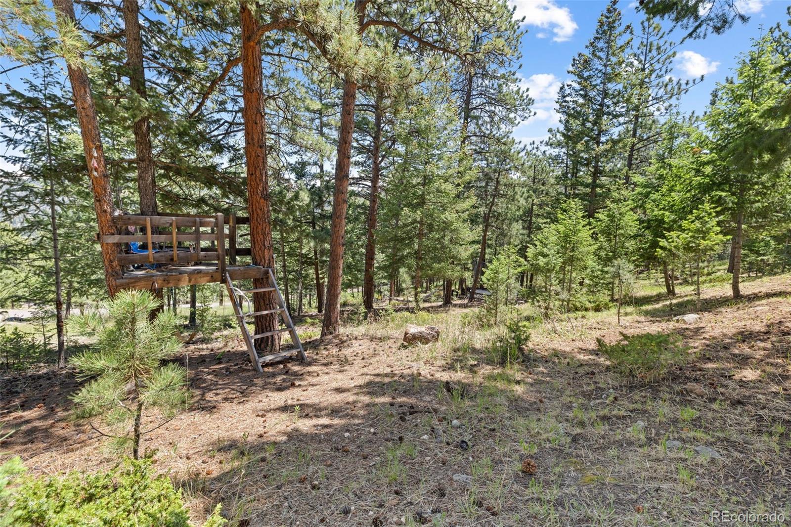 MLS Image #46 for 6159 s skyline drive,evergreen, Colorado