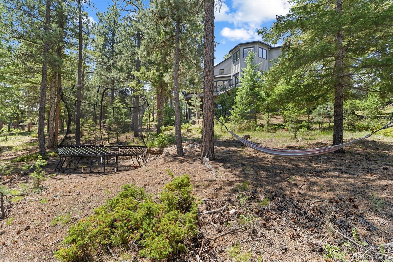 MLS Image #48 for 6159 s skyline drive,evergreen, Colorado