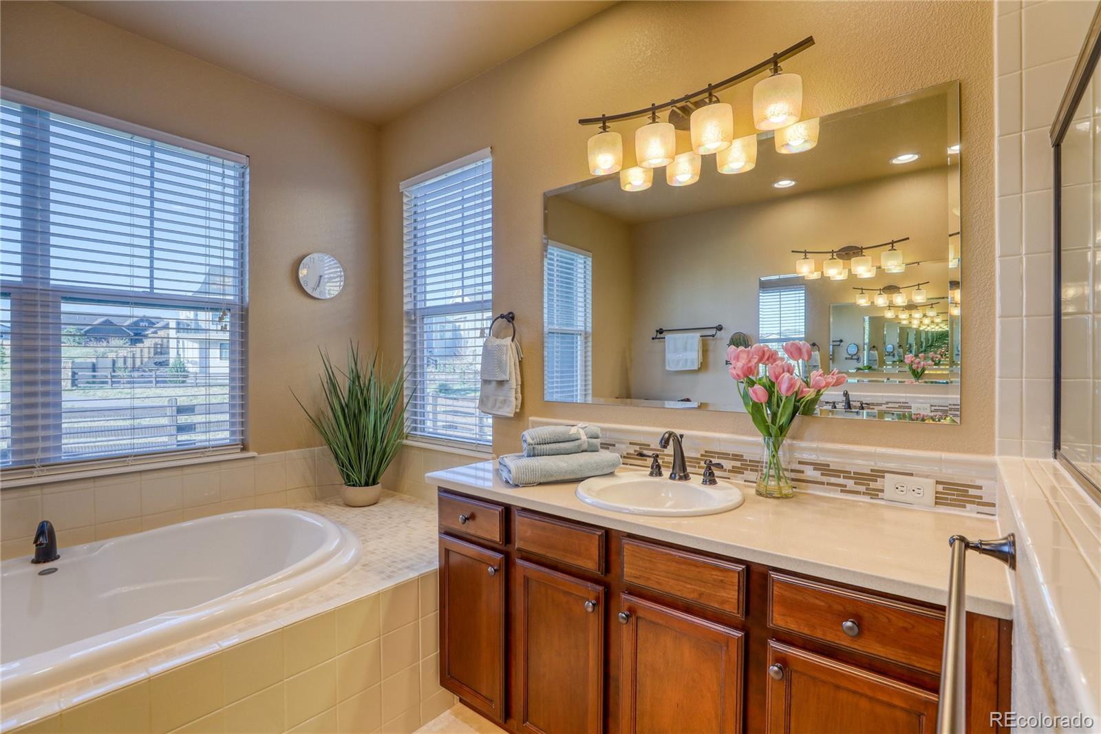MLS Image #18 for 4808  alberta falls way,colorado springs, Colorado