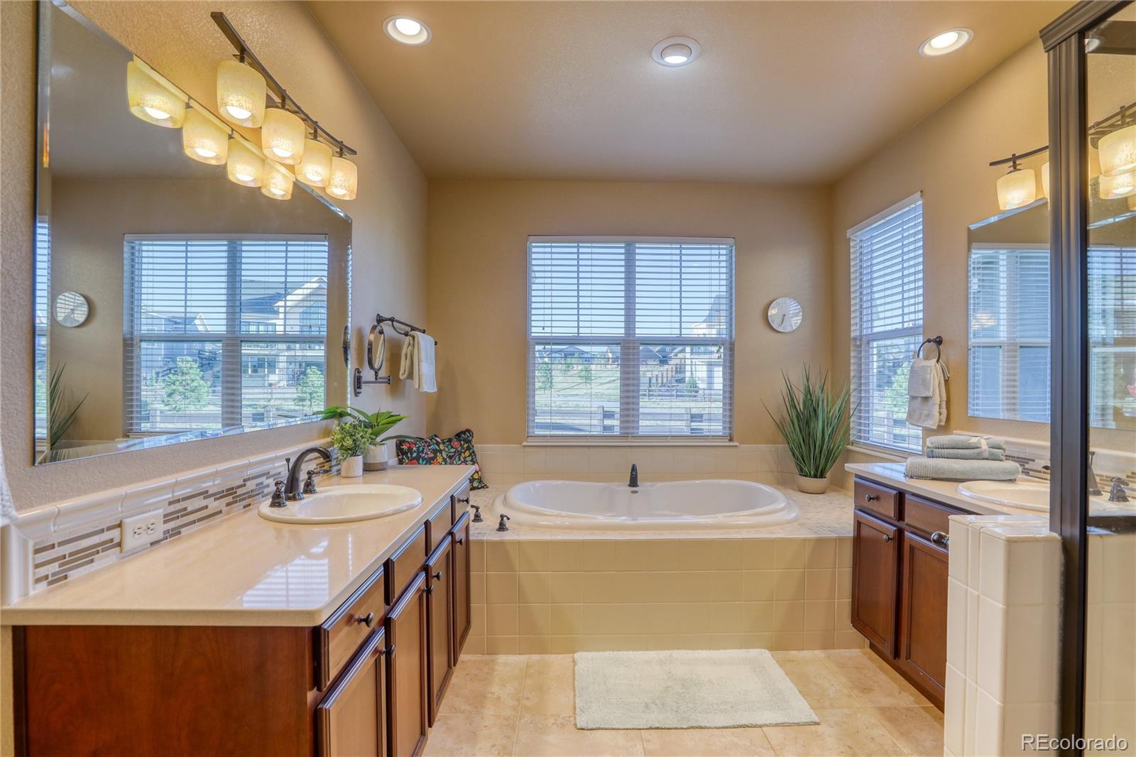 MLS Image #19 for 4808  alberta falls way,colorado springs, Colorado