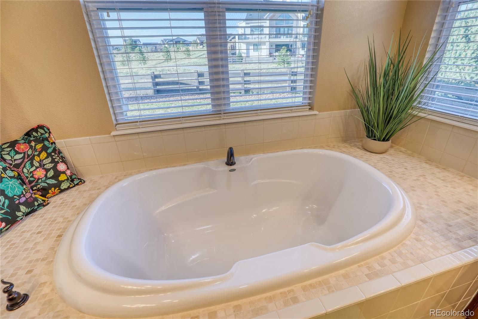 MLS Image #20 for 4808  alberta falls way,colorado springs, Colorado