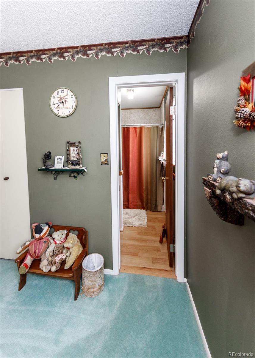MLS Image #23 for 2527 e caramillo street,colorado springs, Colorado