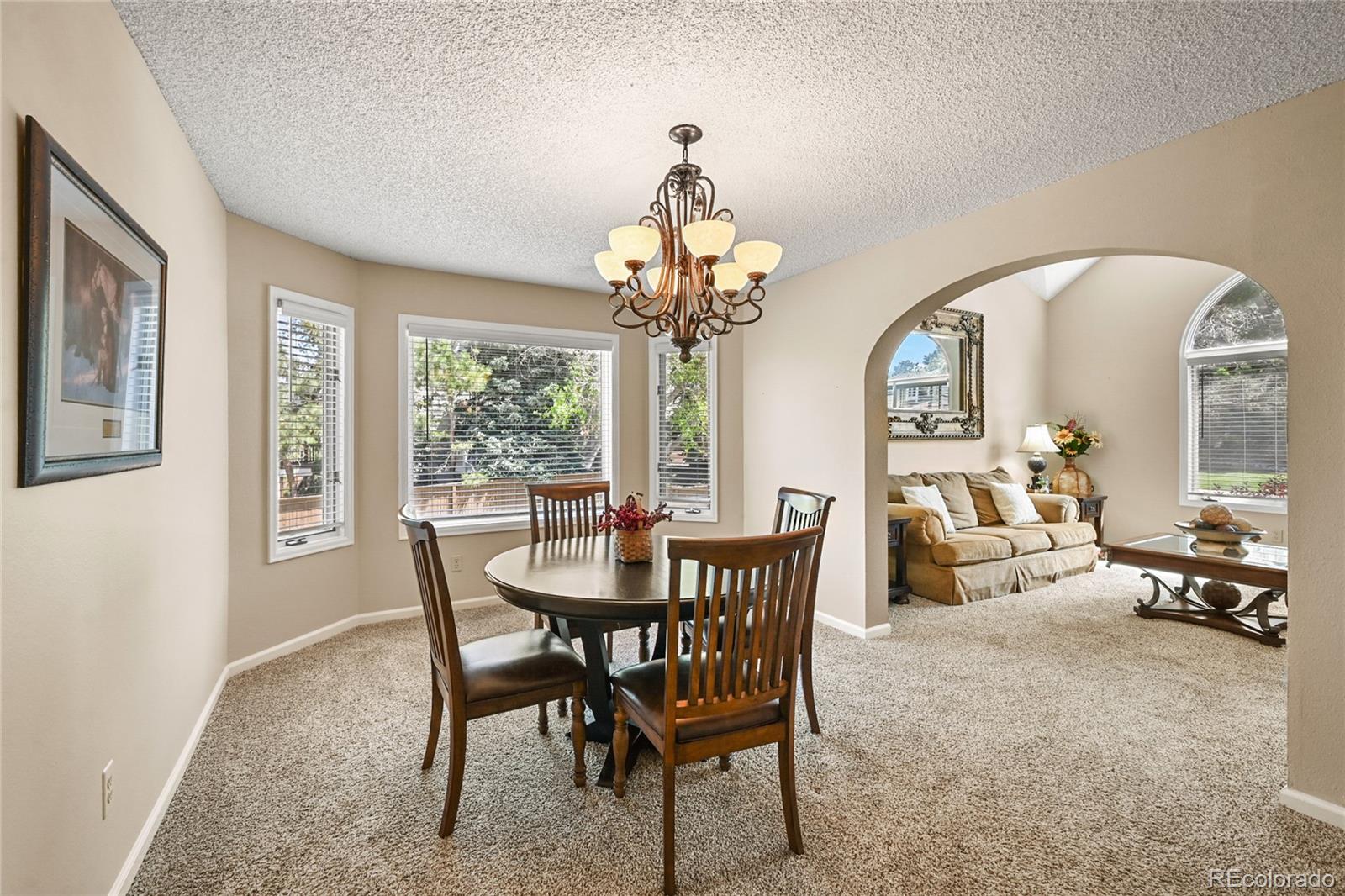 MLS Image #12 for 9293  cornell circle,highlands ranch, Colorado