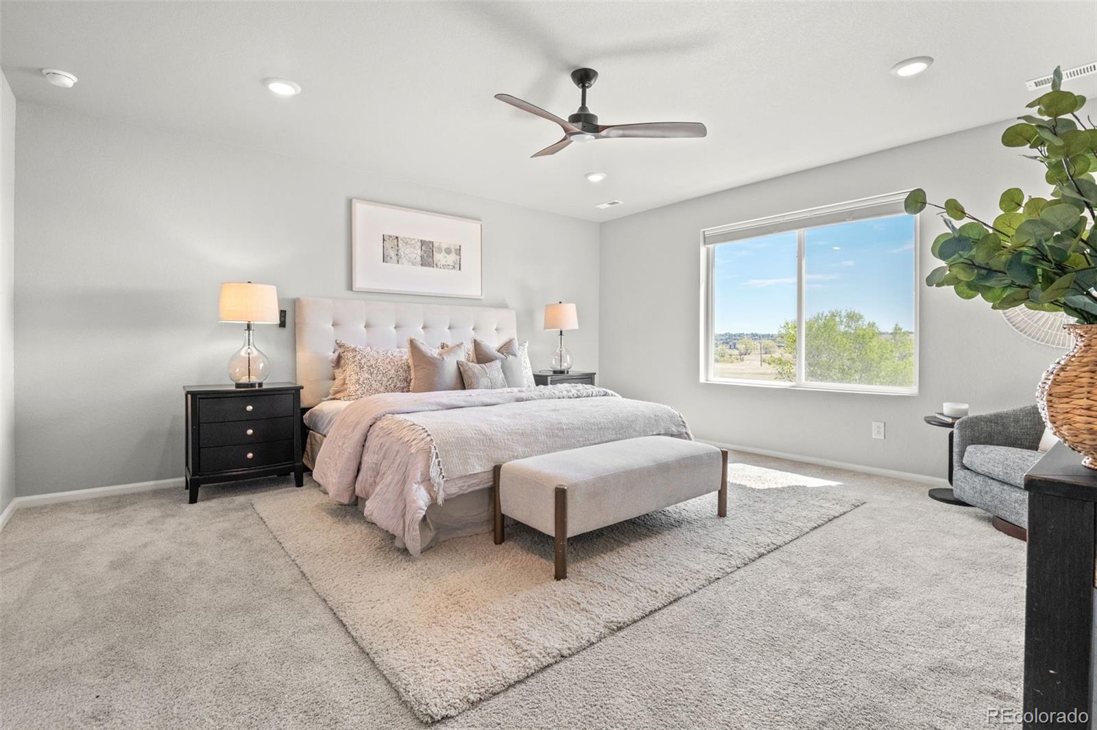 MLS Image #20 for 13446  broad wing drive,parker, Colorado