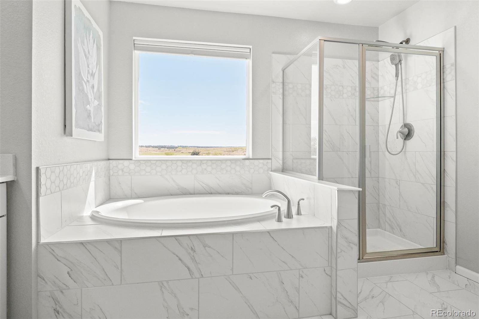MLS Image #23 for 13446  broad wing drive,parker, Colorado