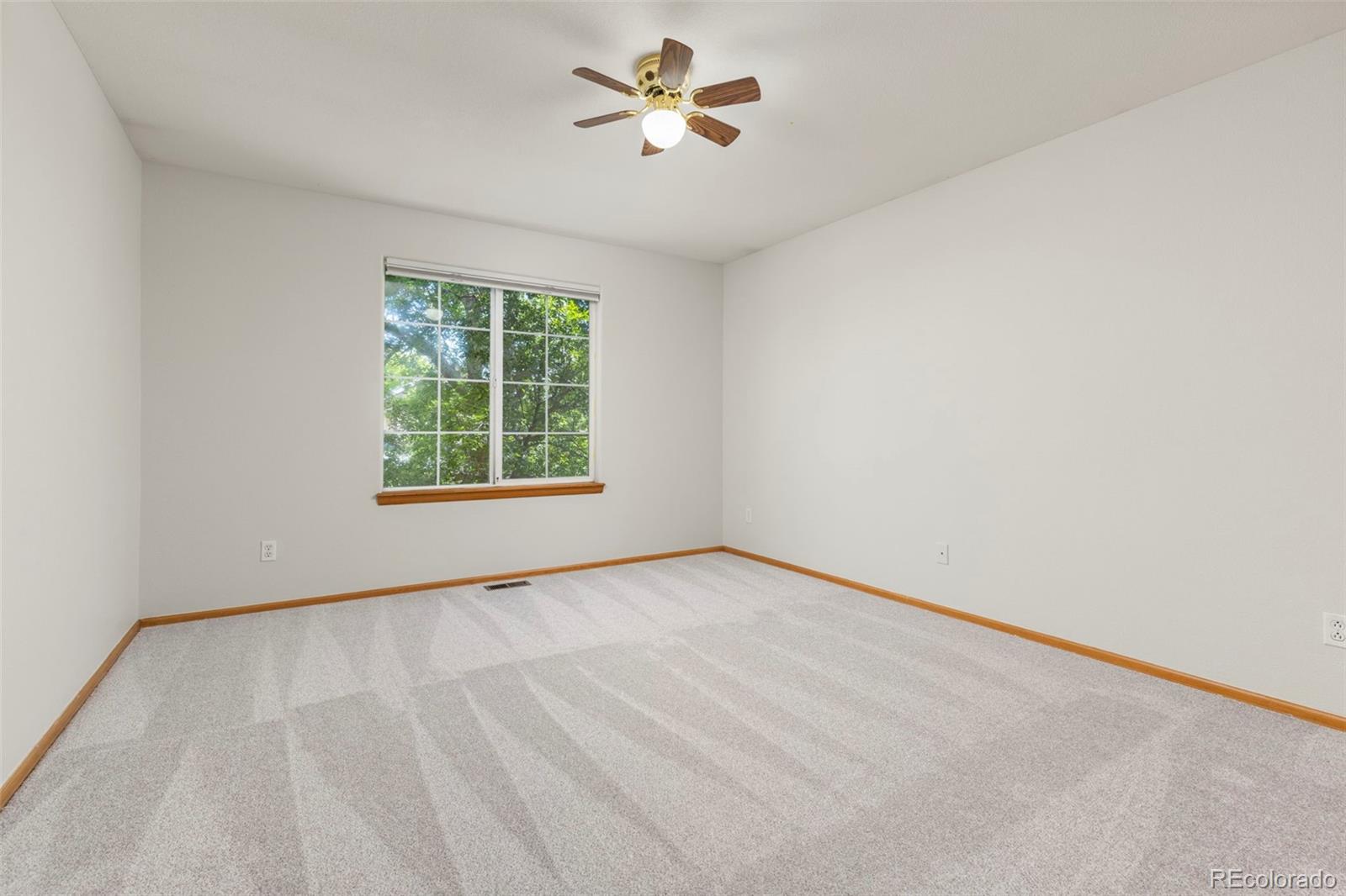 MLS Image #29 for 1112  larch court,broomfield, Colorado