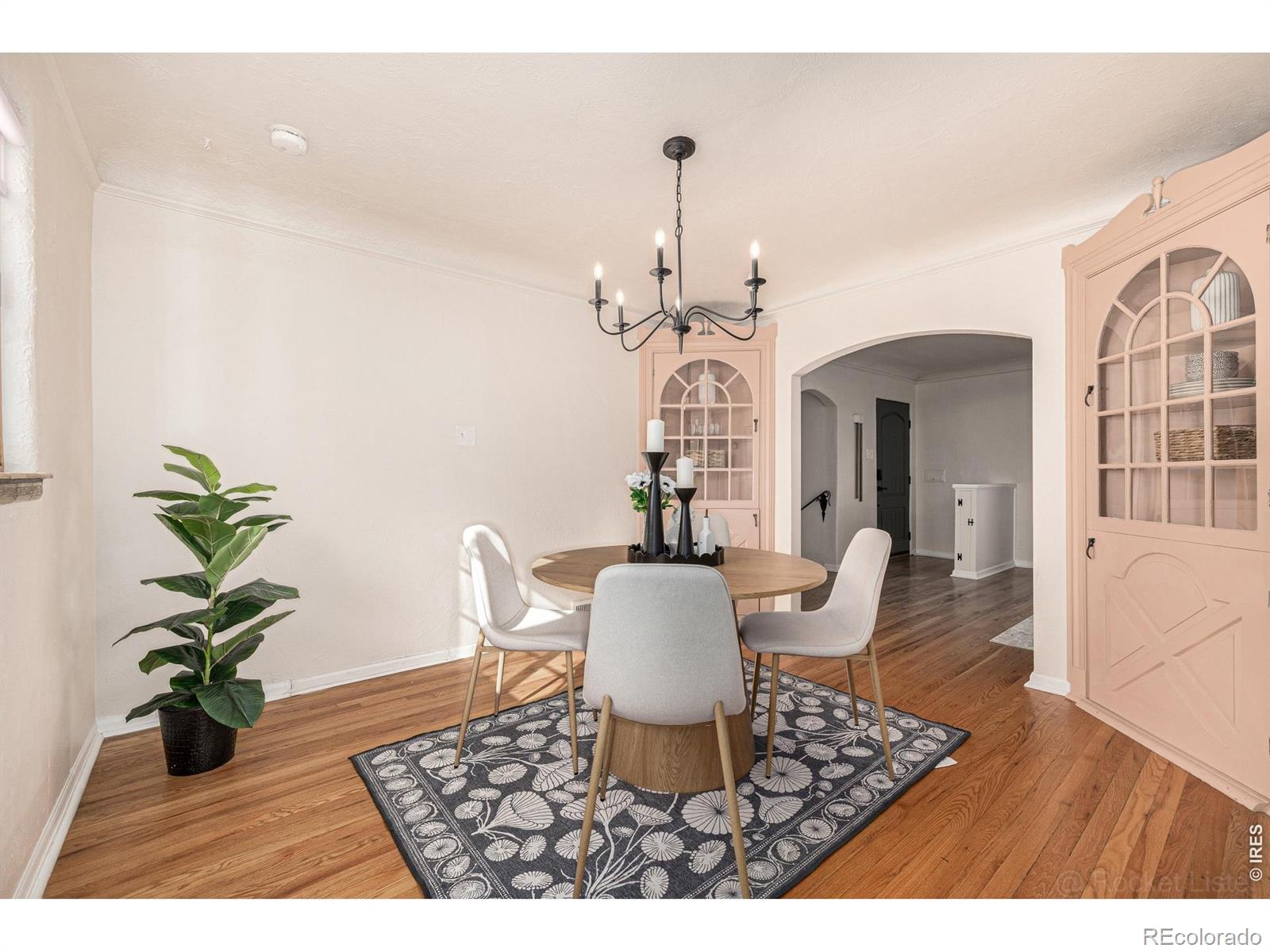 MLS Image #8 for 129 s franklin street,denver, Colorado