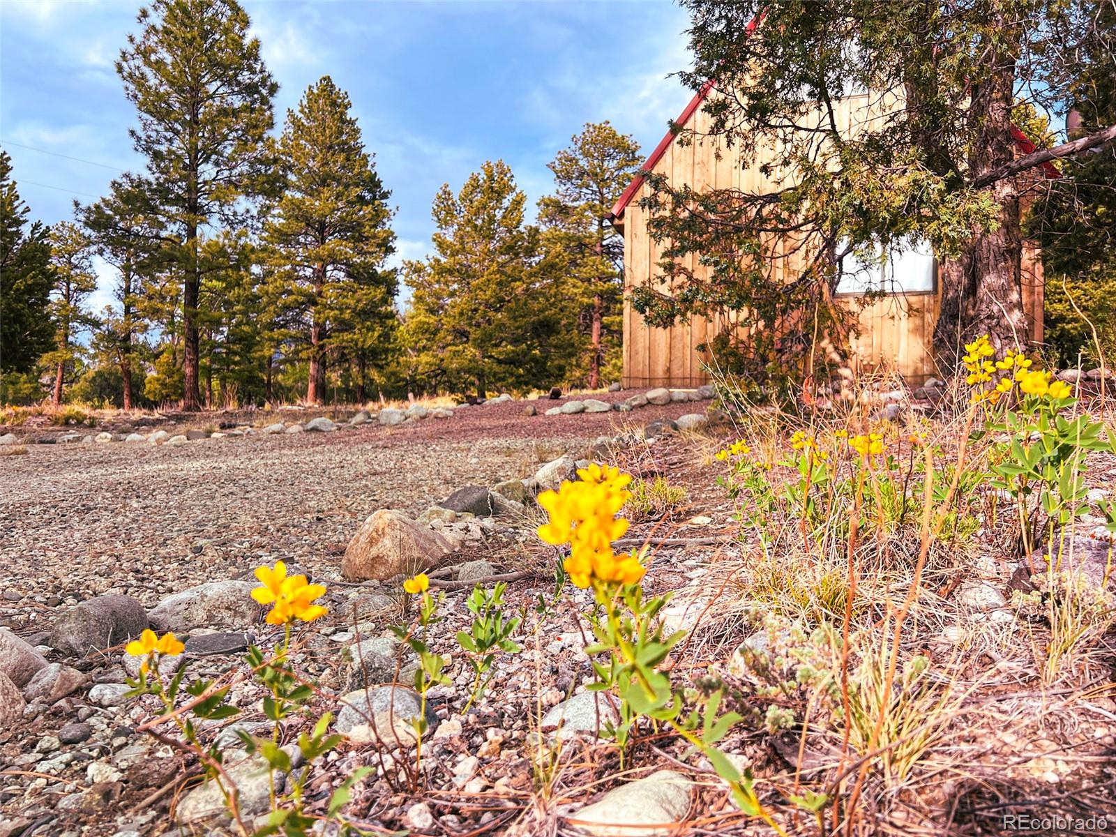 MLS Image #14 for 33  big bear road,mosca, Colorado