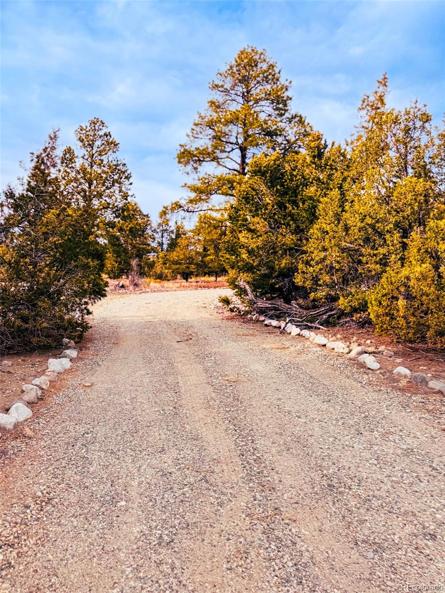 MLS Image #16 for 33  big bear road,mosca, Colorado