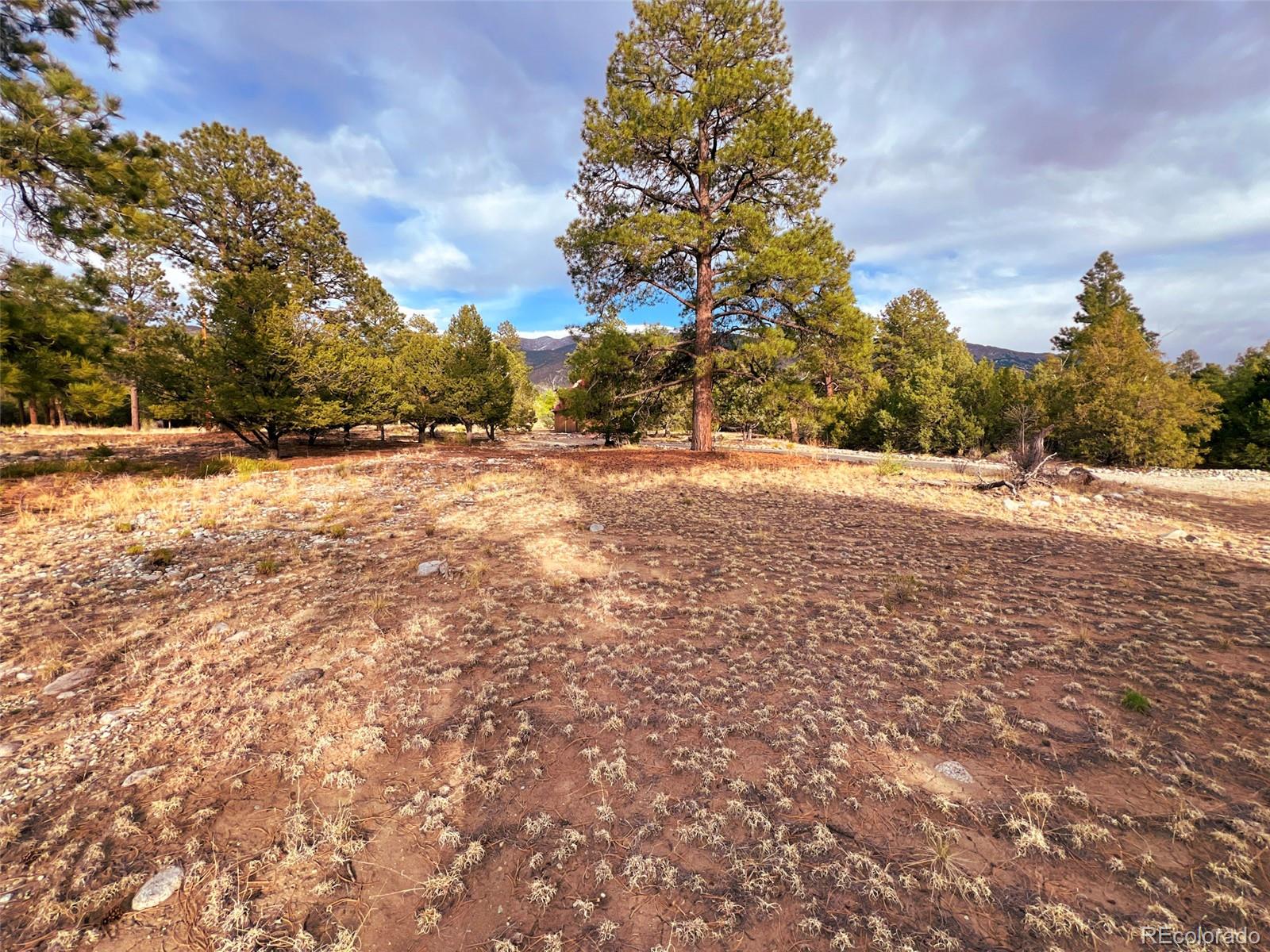 MLS Image #18 for 33  big bear road,mosca, Colorado