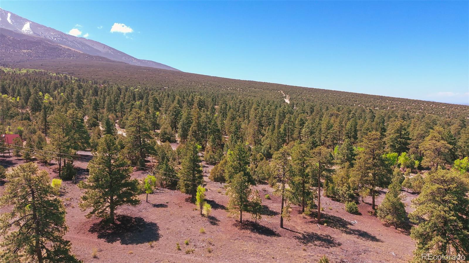 MLS Image #26 for 33  big bear road,mosca, Colorado