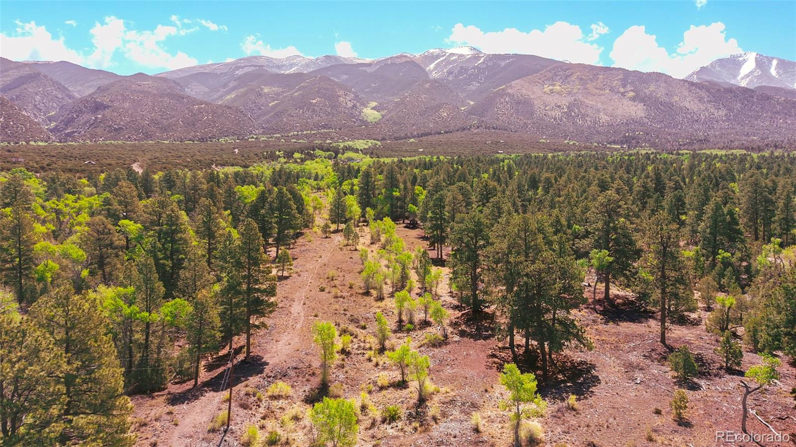 MLS Image #27 for 33  big bear road,mosca, Colorado