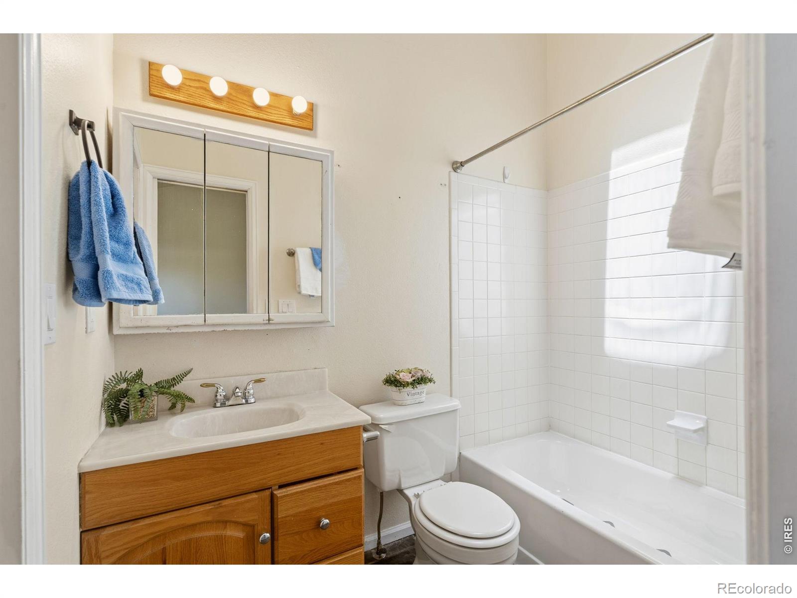 MLS Image #21 for 2828  silverplume drive,fort collins, Colorado