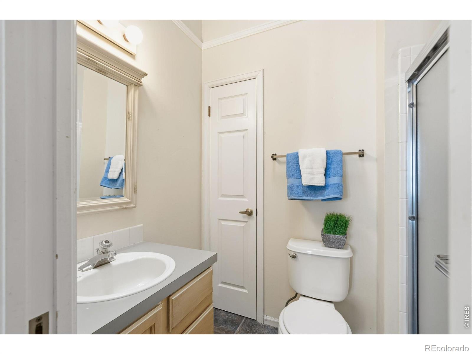 MLS Image #27 for 2828  silverplume drive,fort collins, Colorado