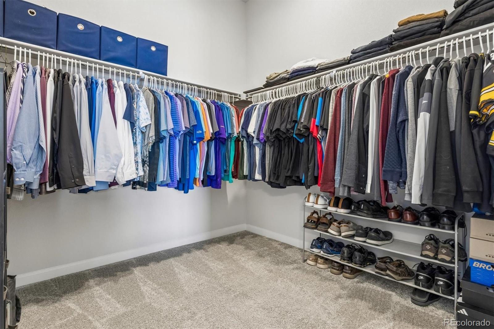 MLS Image #25 for 14307  shasta daisy point,parker, Colorado
