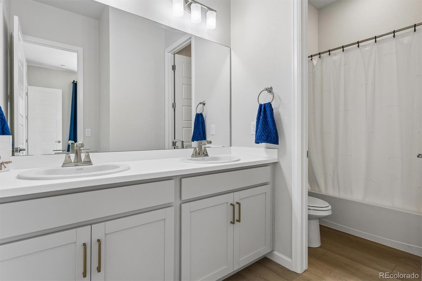 MLS Image #27 for 14307  shasta daisy point,parker, Colorado