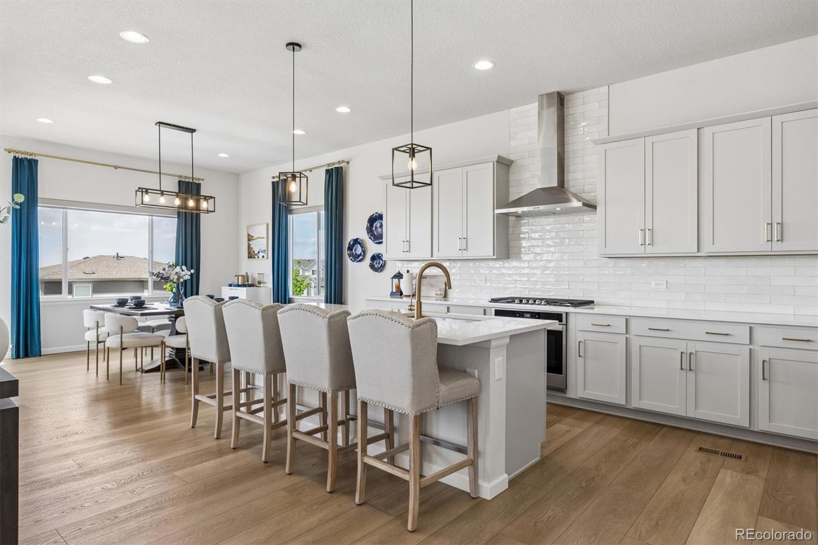 MLS Image #8 for 14307  shasta daisy point,parker, Colorado