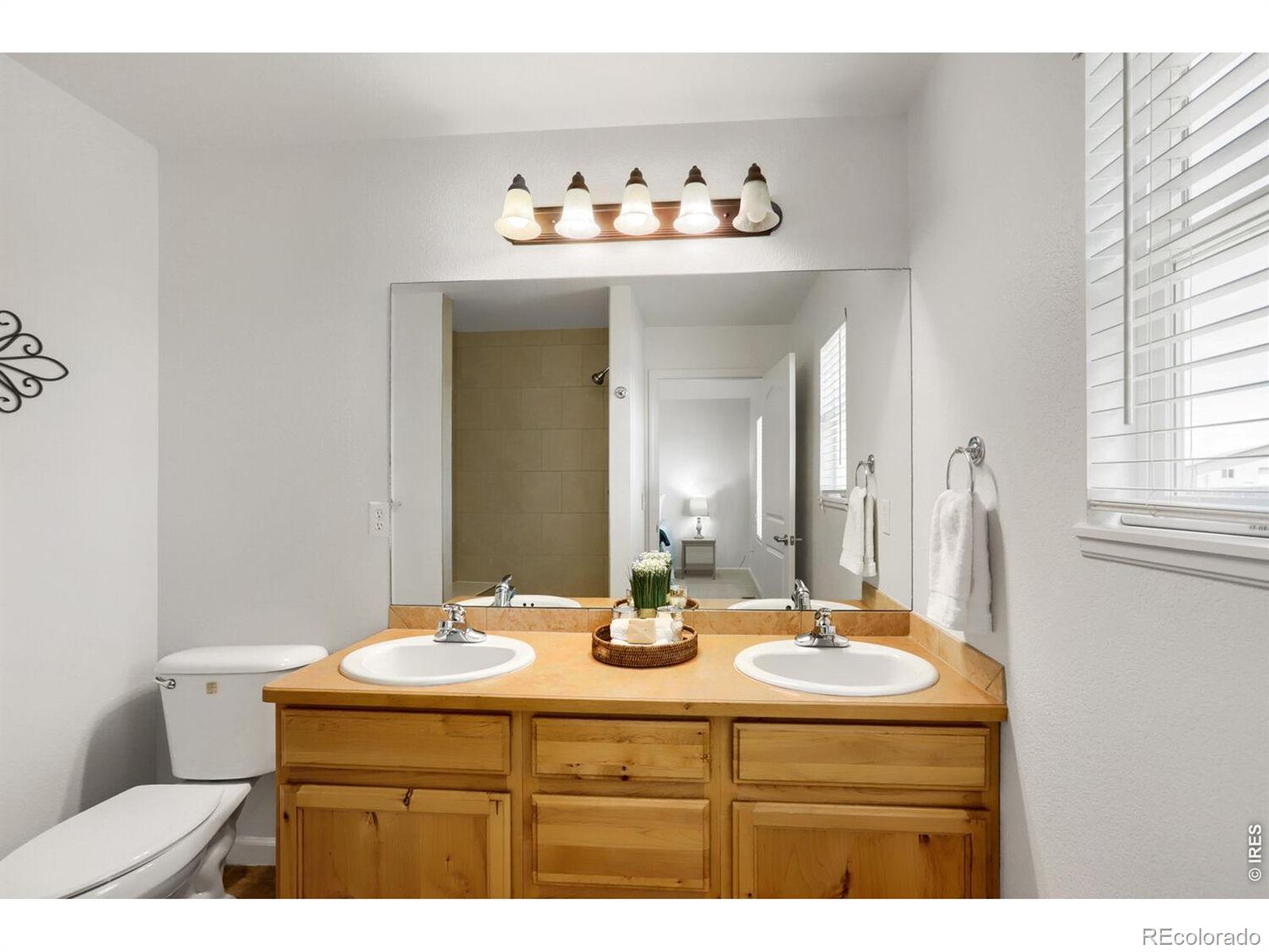 MLS Image #12 for 8498  pebble court,wellington, Colorado