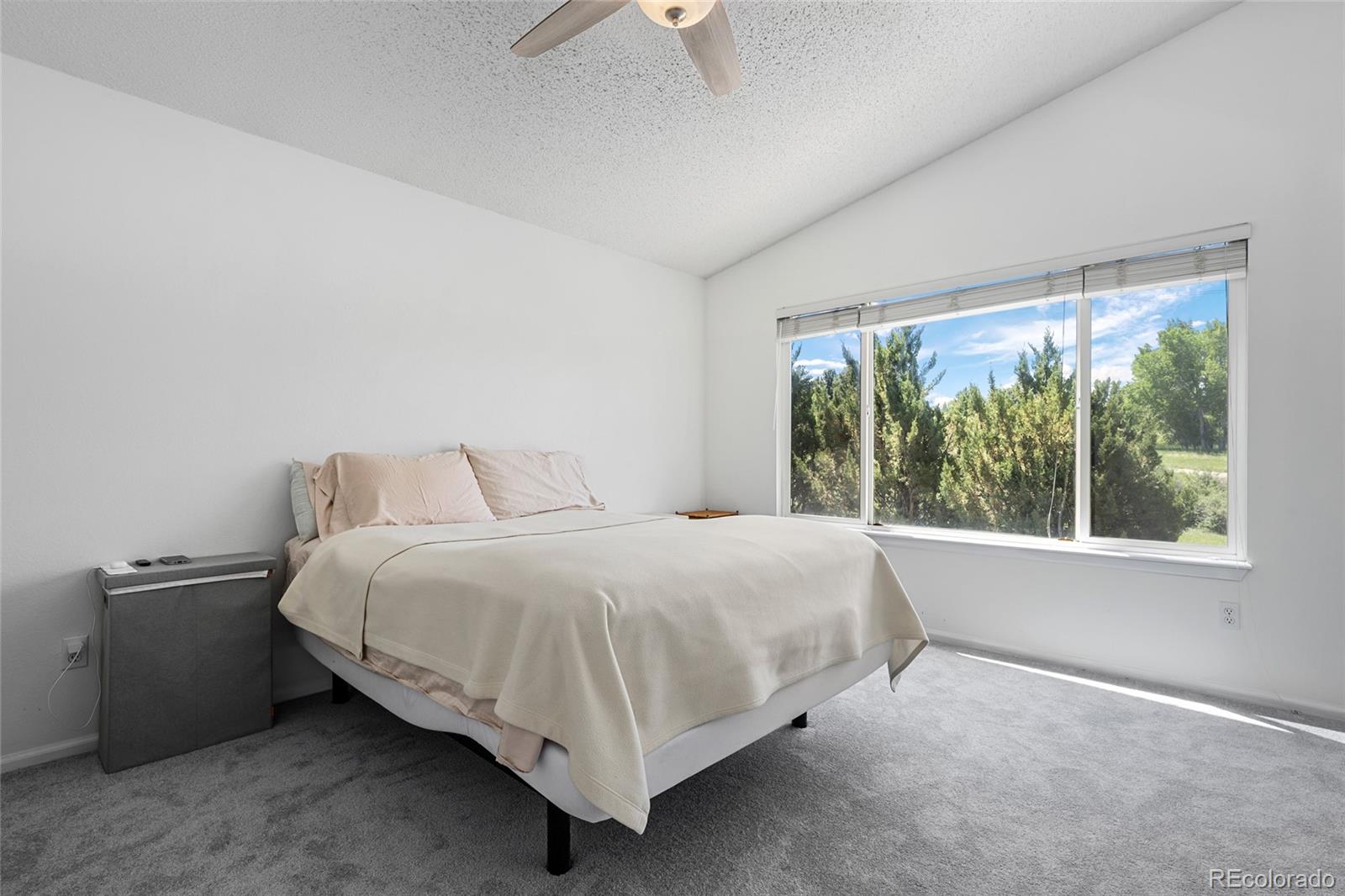 MLS Image #18 for 11090  tim tam way,parker, Colorado