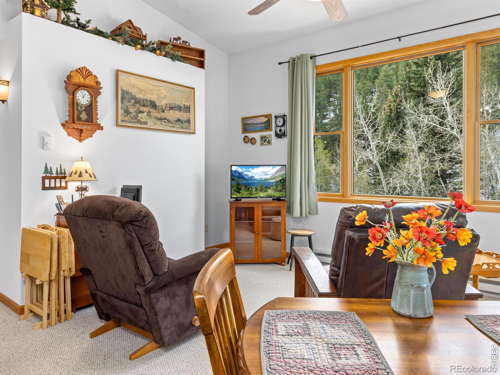 MLS Image #14 for 1002  streamside drive,glen haven, Colorado