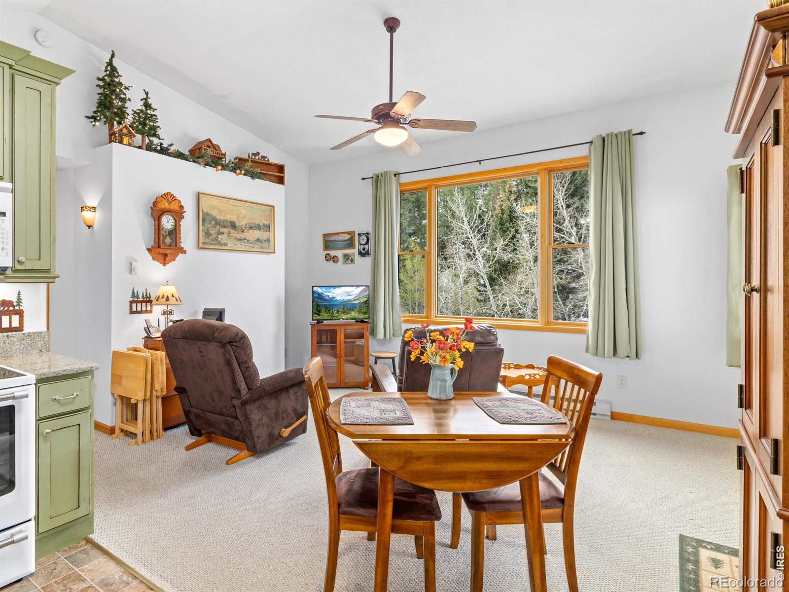 MLS Image #15 for 1002  streamside drive,glen haven, Colorado
