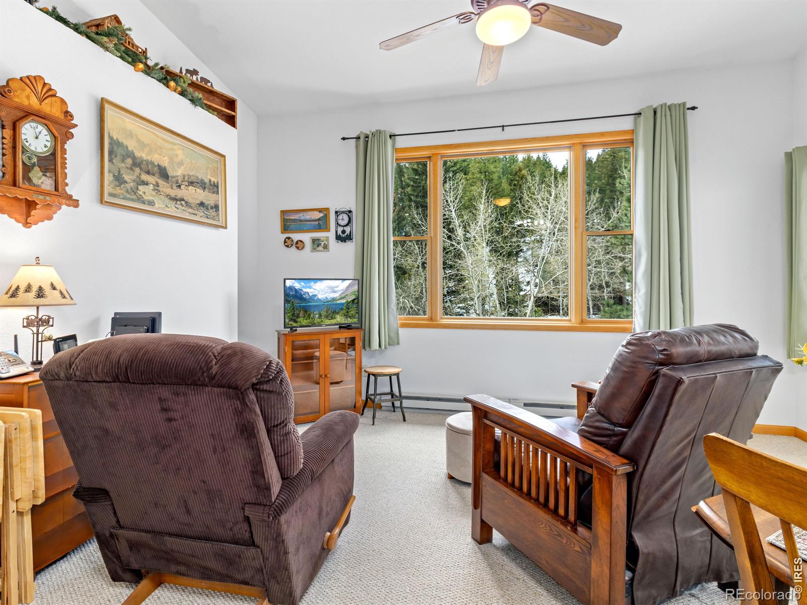 MLS Image #16 for 1002  streamside drive,glen haven, Colorado