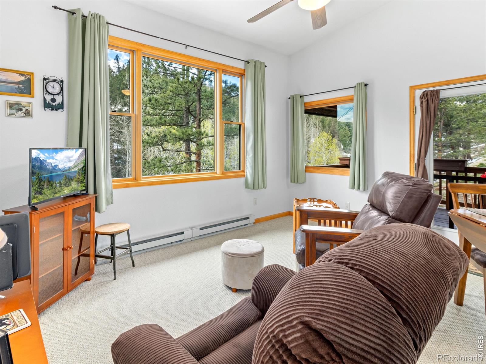 MLS Image #24 for 1002  streamside drive,glen haven, Colorado