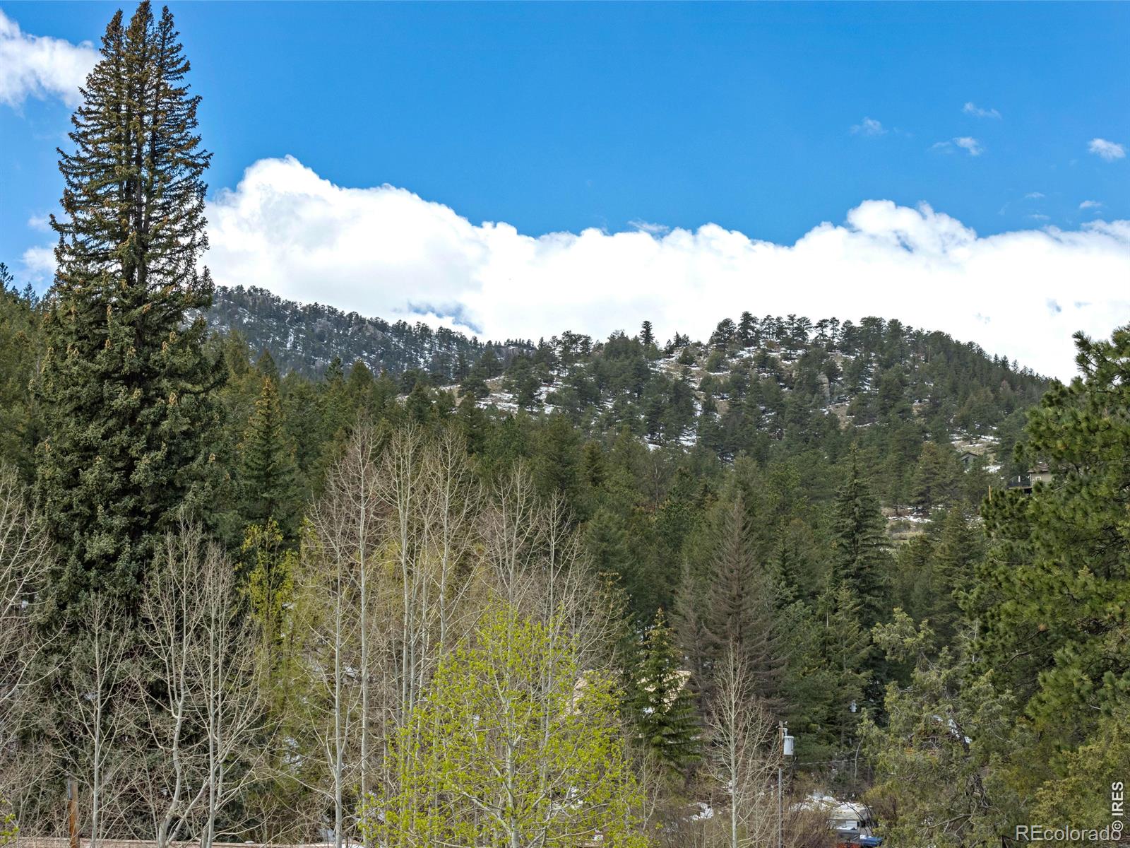 MLS Image #6 for 1002  streamside drive,glen haven, Colorado