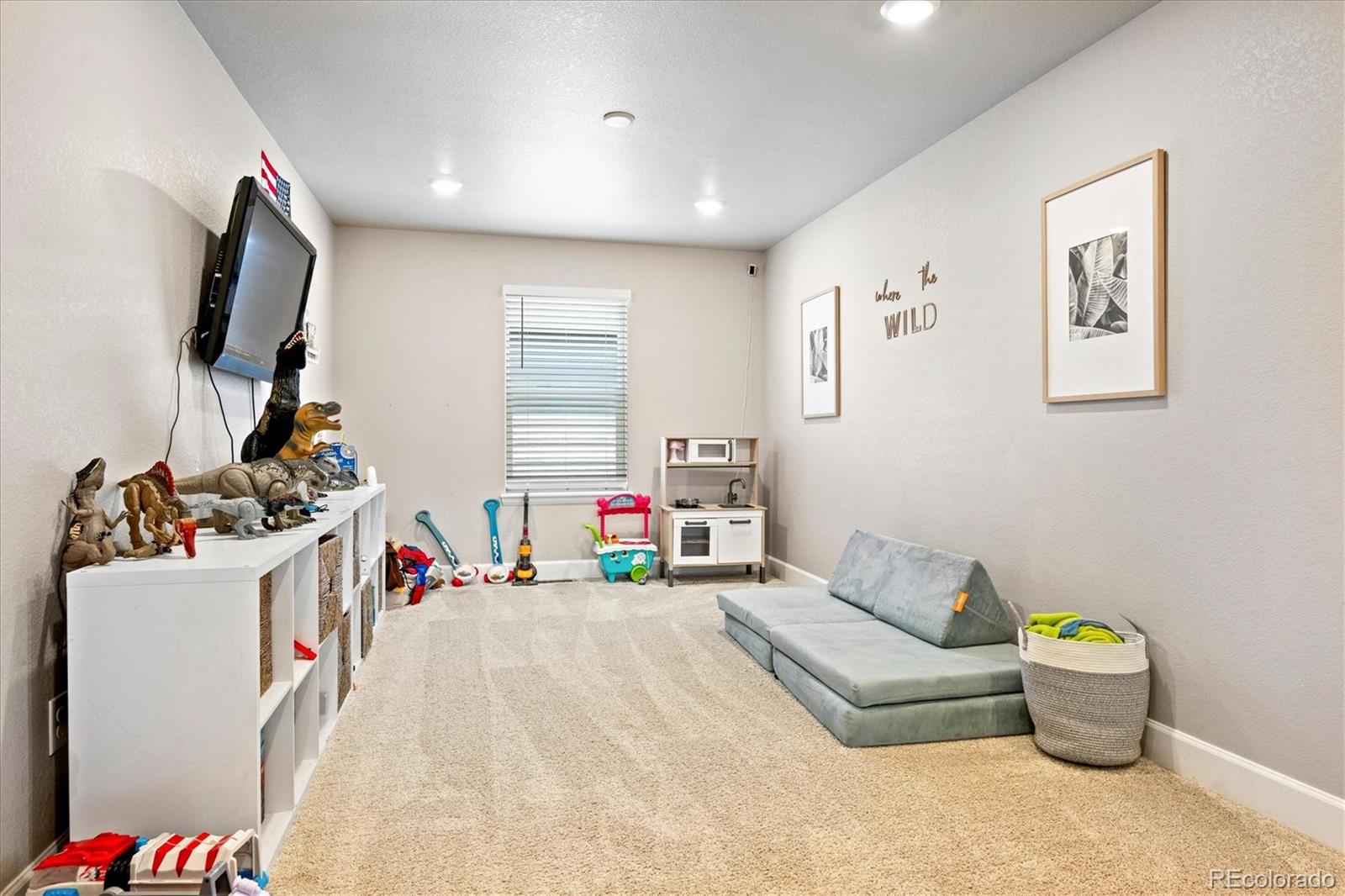 MLS Image #17 for 605  silver rock trail,castle rock, Colorado
