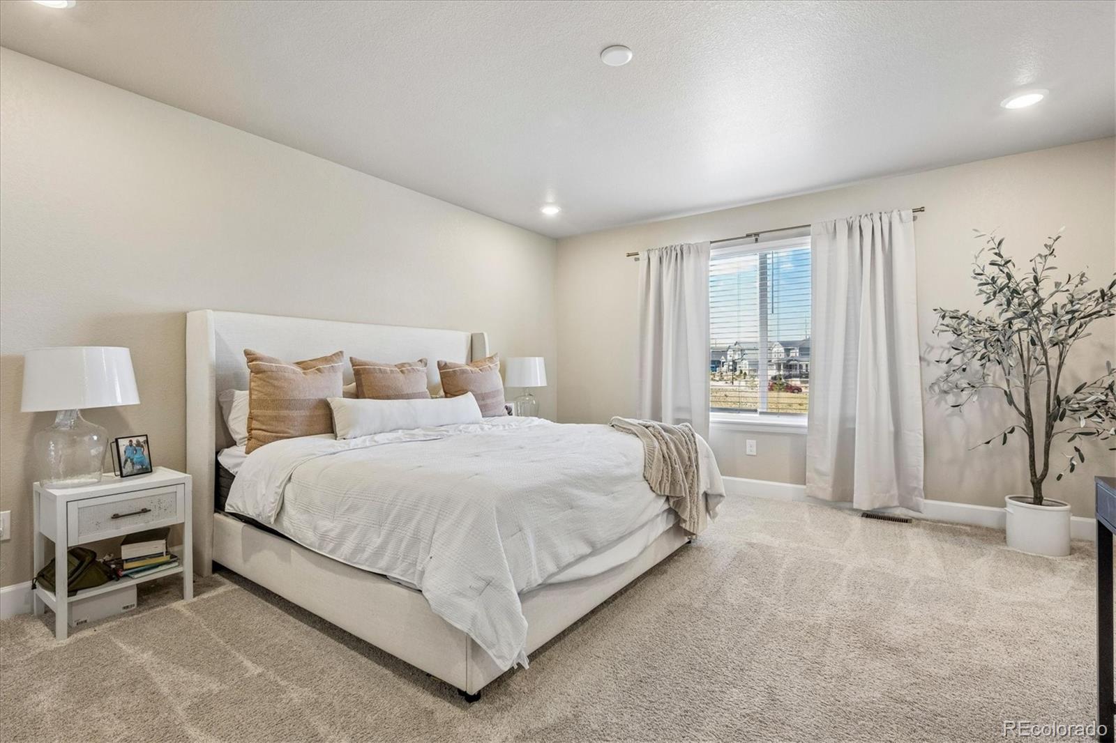 MLS Image #20 for 605  silver rock trail,castle rock, Colorado