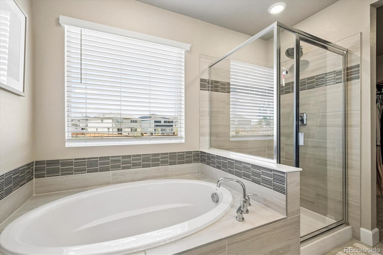 MLS Image #23 for 605  silver rock trail,castle rock, Colorado