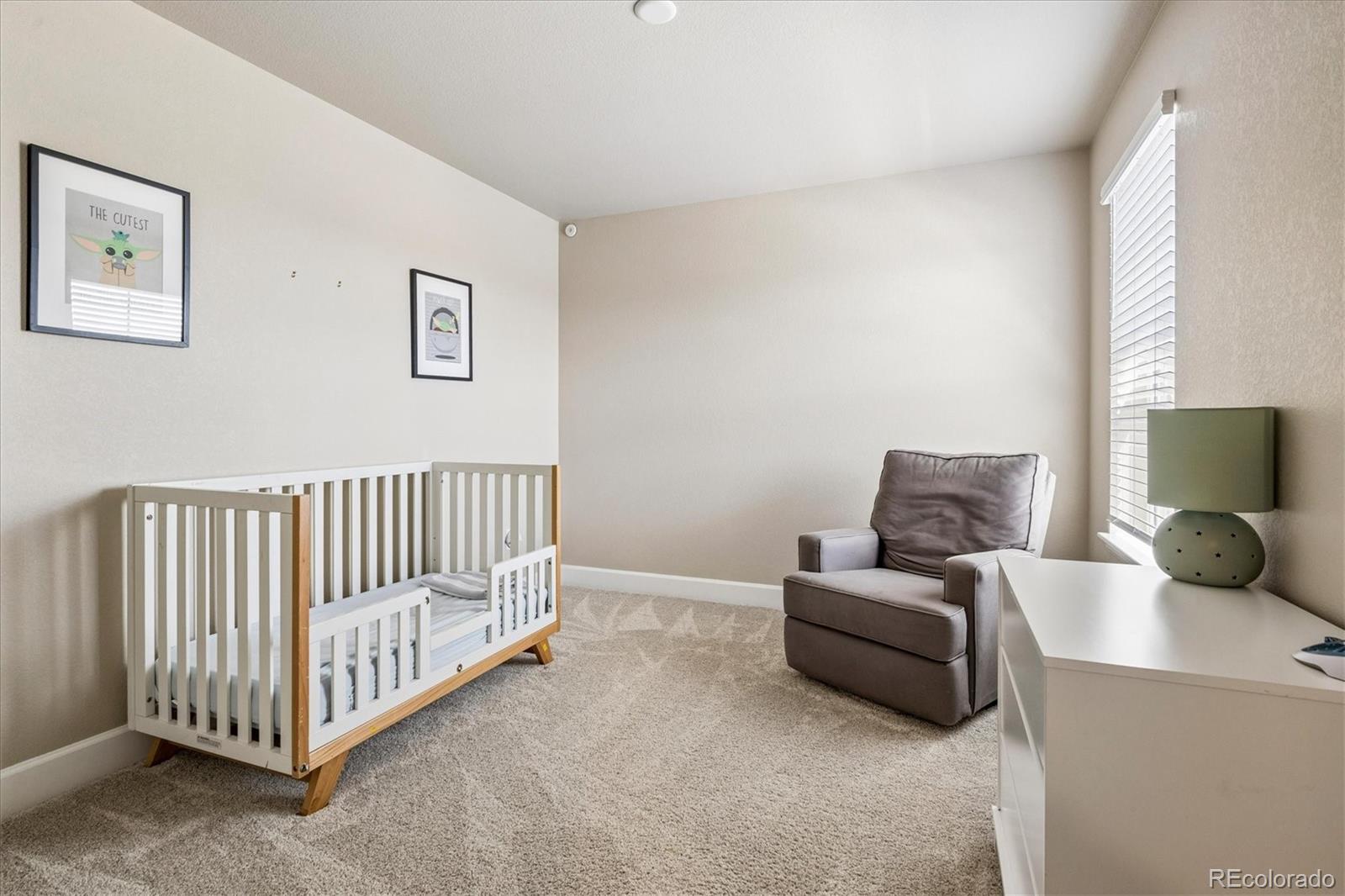 MLS Image #25 for 605  silver rock trail,castle rock, Colorado