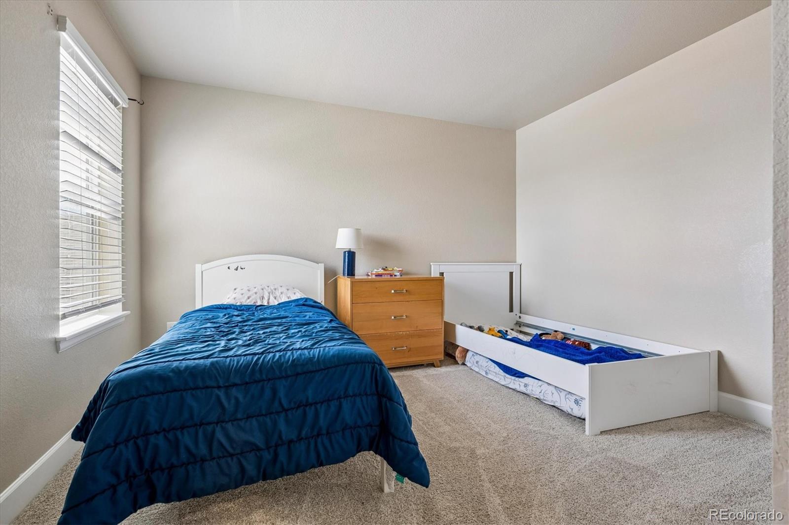 MLS Image #26 for 605  silver rock trail,castle rock, Colorado