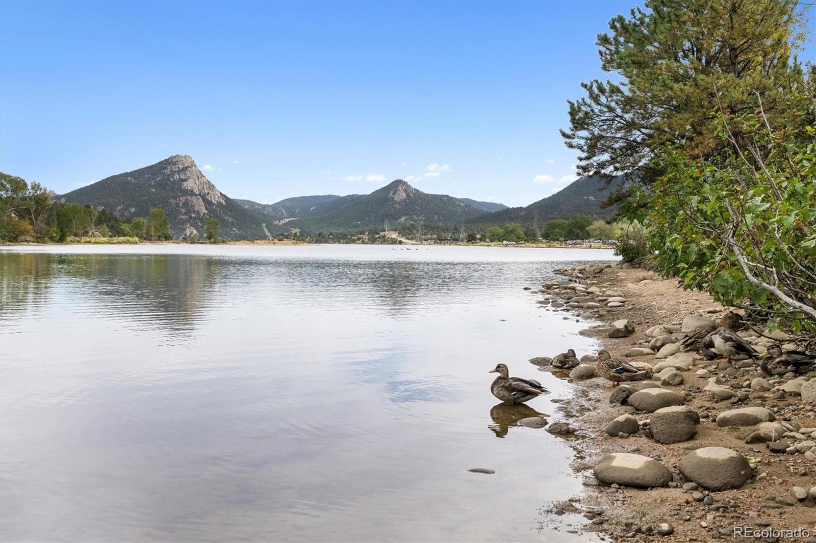 MLS Image #29 for 909  village green lane,estes park, Colorado