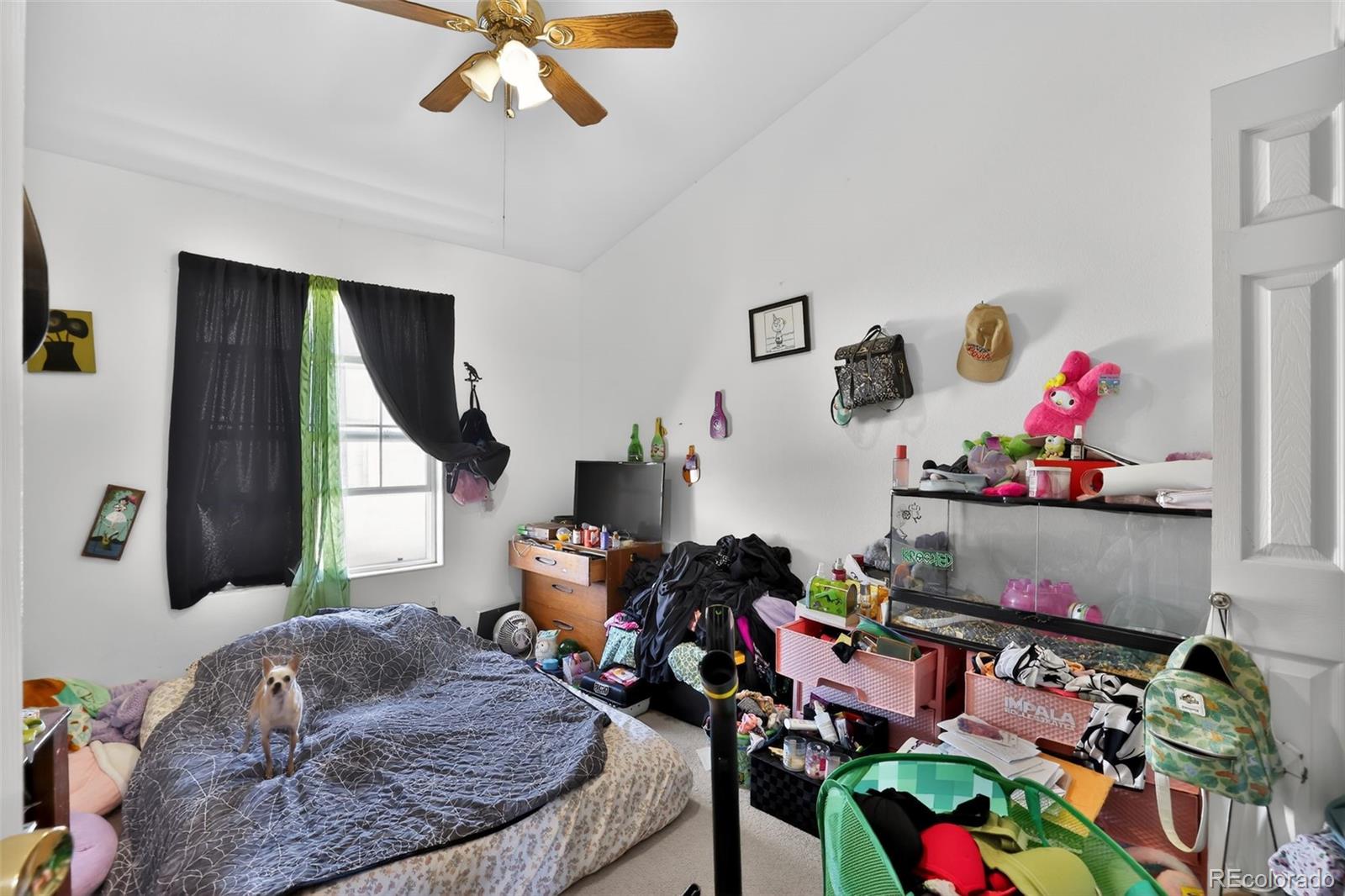 MLS Image #13 for 971 s los charros drive,pueblo, Colorado
