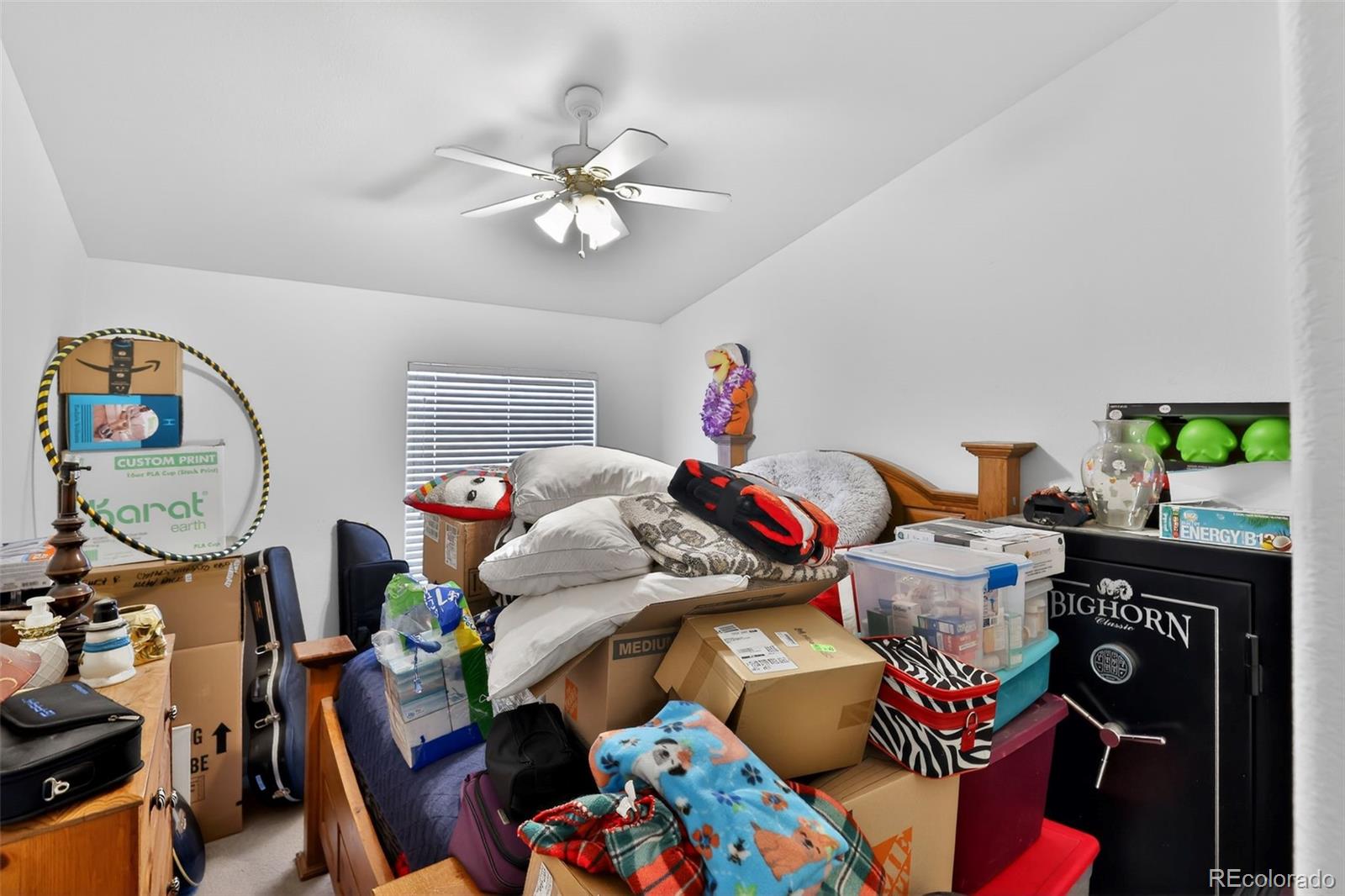 MLS Image #14 for 971 s los charros drive,pueblo, Colorado