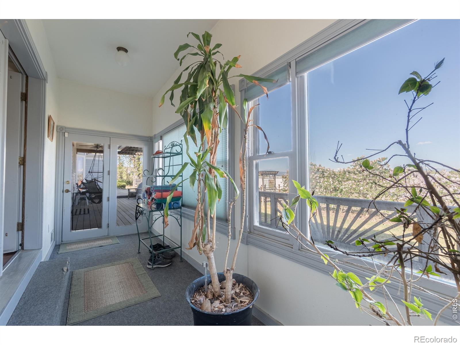 MLS Image #31 for 14447  madison street,thornton, Colorado