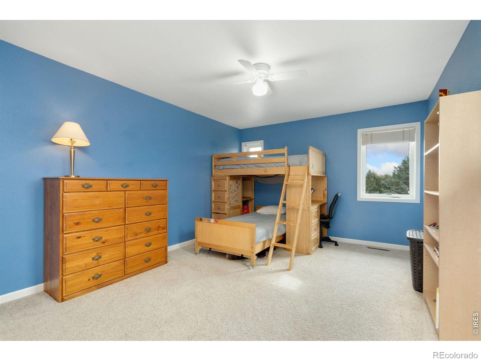 MLS Image #21 for 1055  coho run,fort collins, Colorado