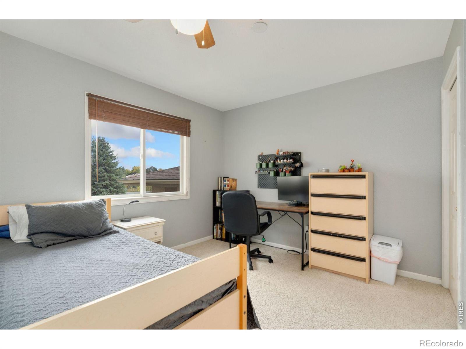 MLS Image #22 for 1055  coho run,fort collins, Colorado