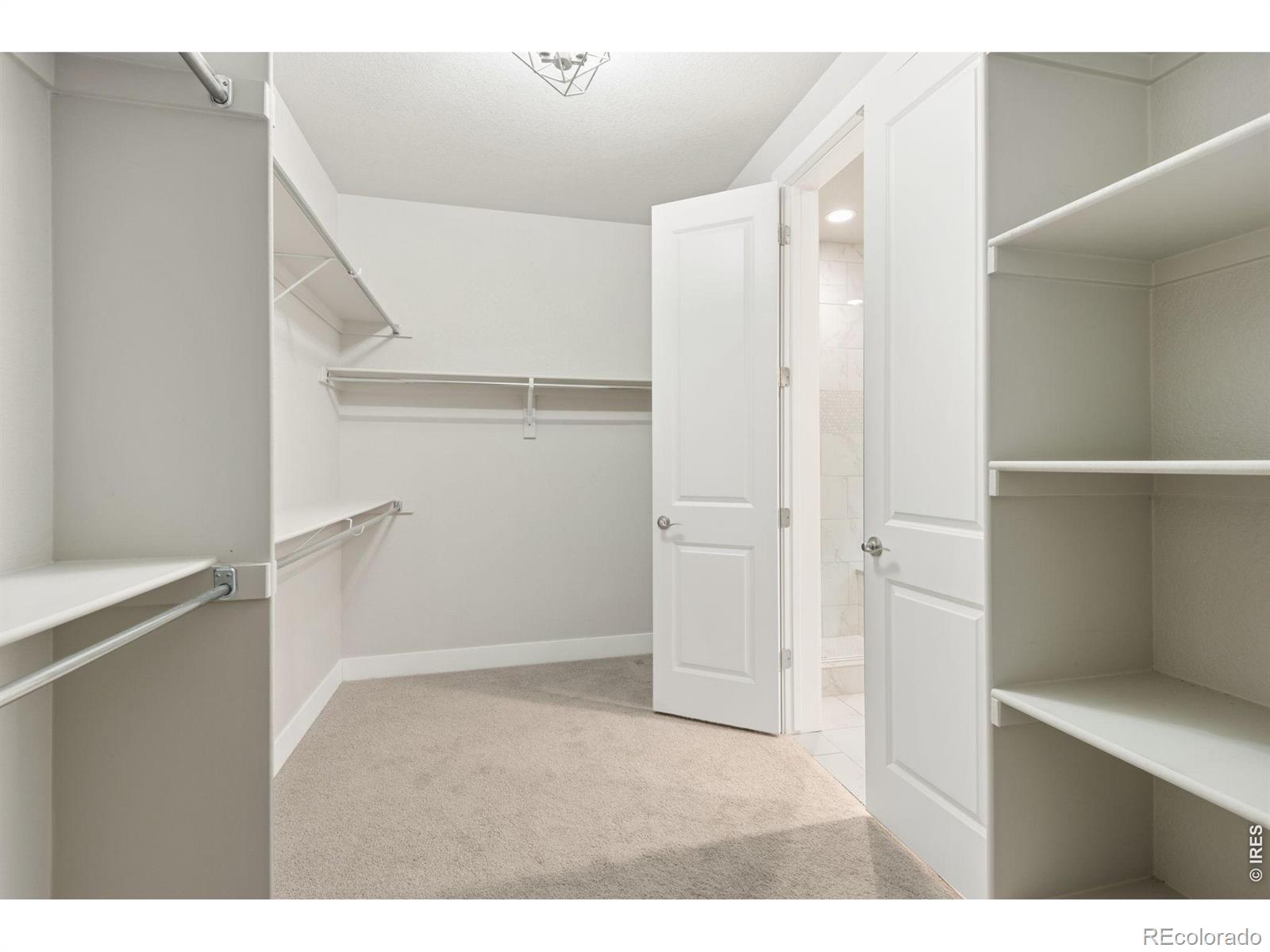 MLS Image #29 for 5944  sapling street,fort collins, Colorado