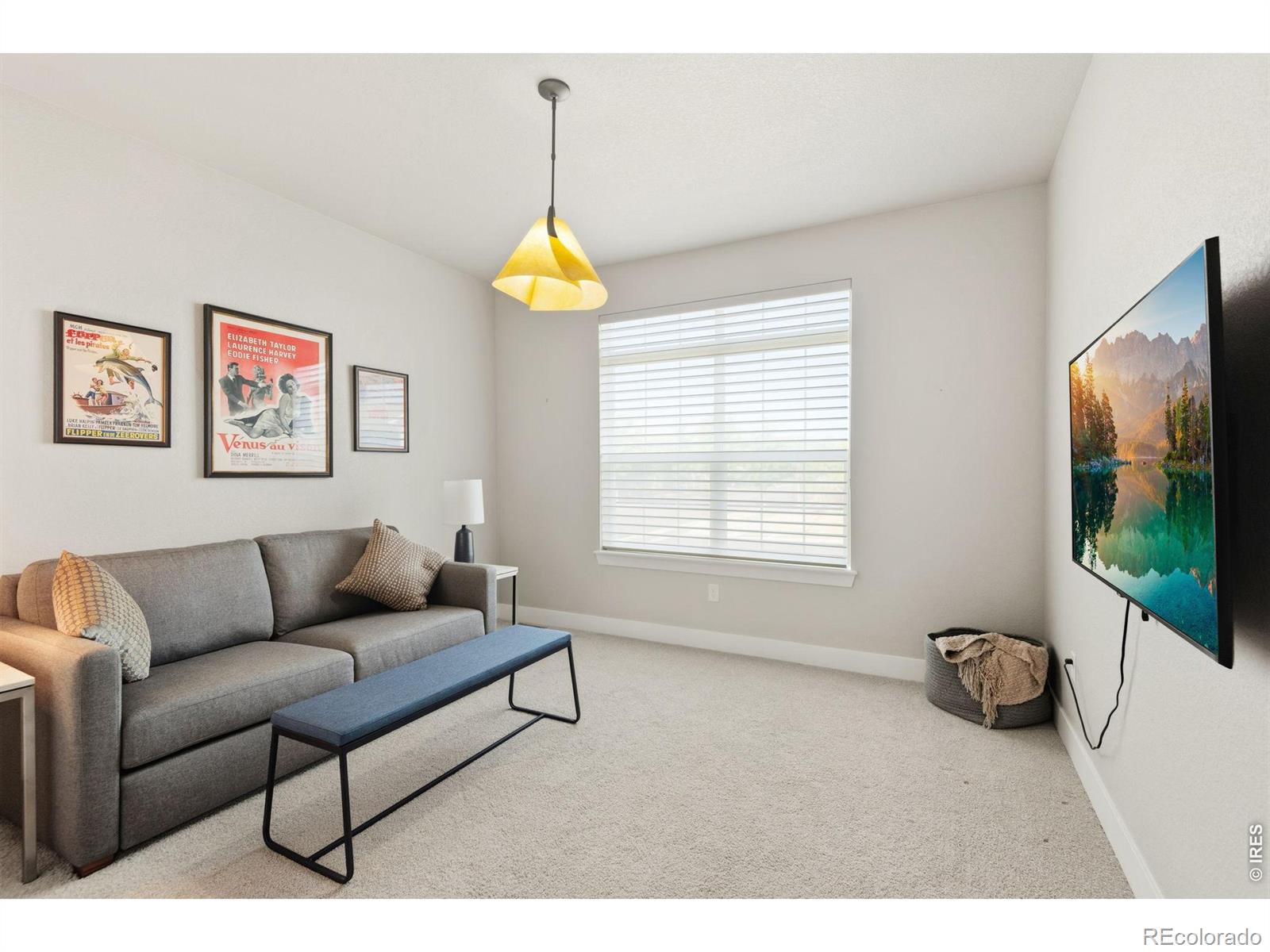 MLS Image #35 for 5944  sapling street,fort collins, Colorado