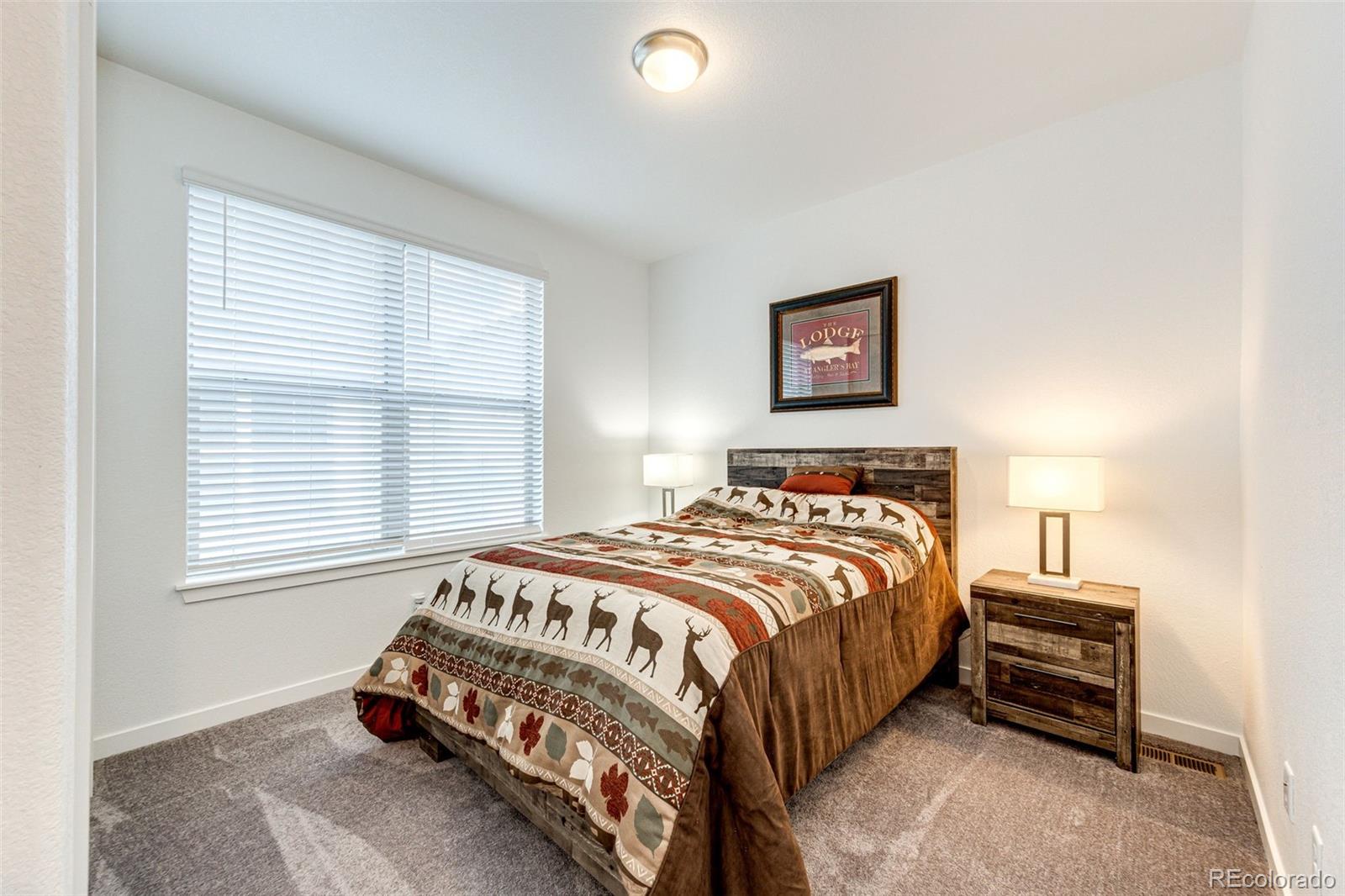 MLS Image #16 for 8424  bijou creek avenue,littleton, Colorado