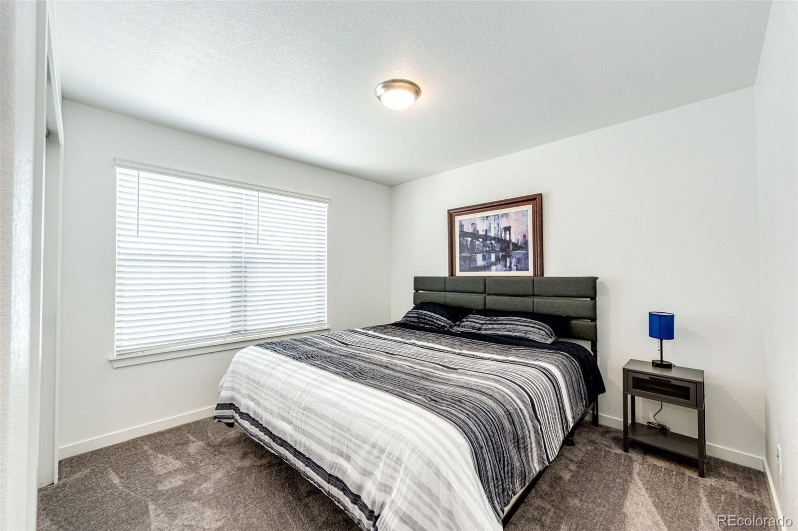 MLS Image #17 for 8424  bijou creek avenue,littleton, Colorado