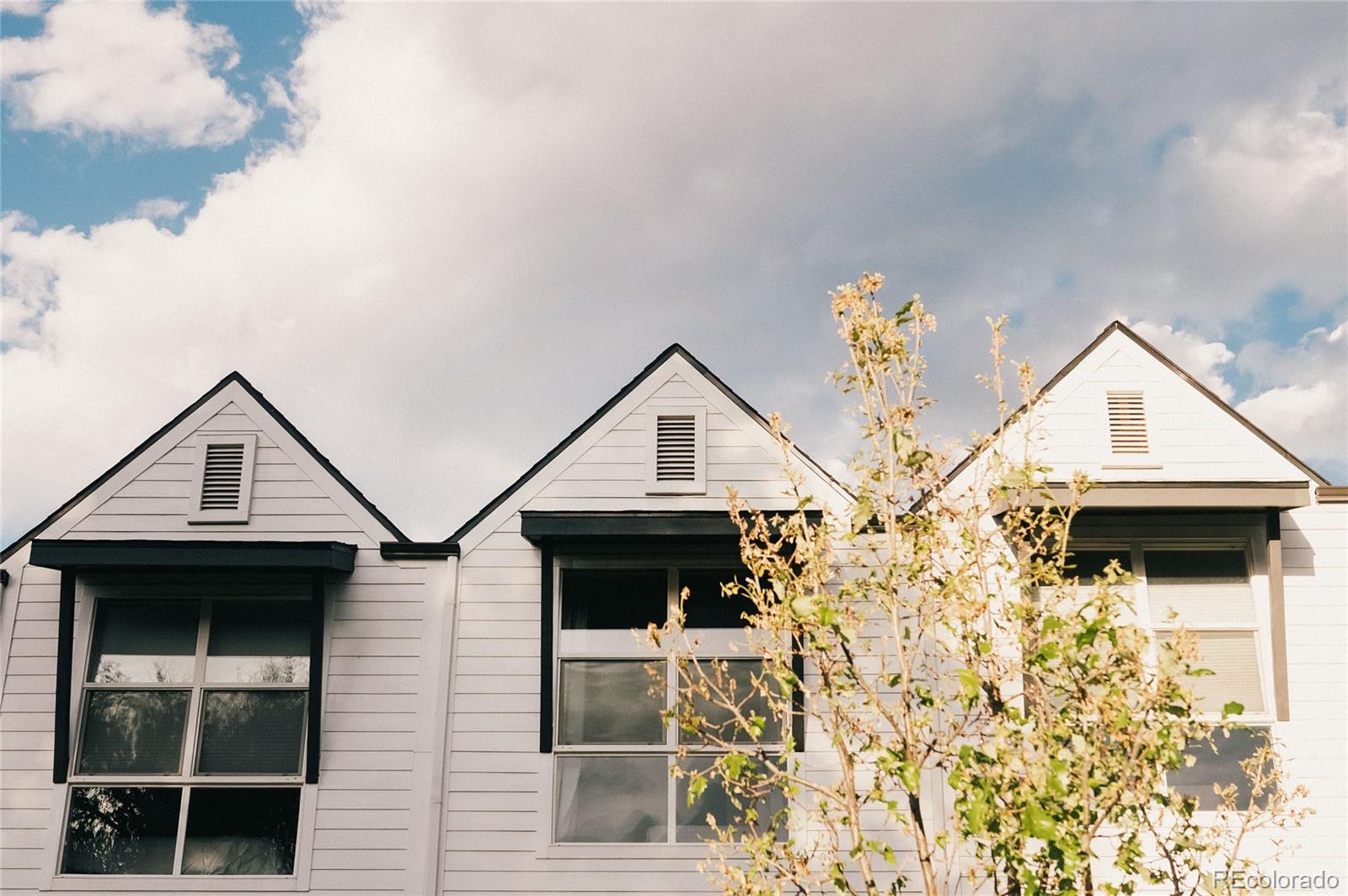 MLS Image #2 for 1080  king street,denver, Colorado