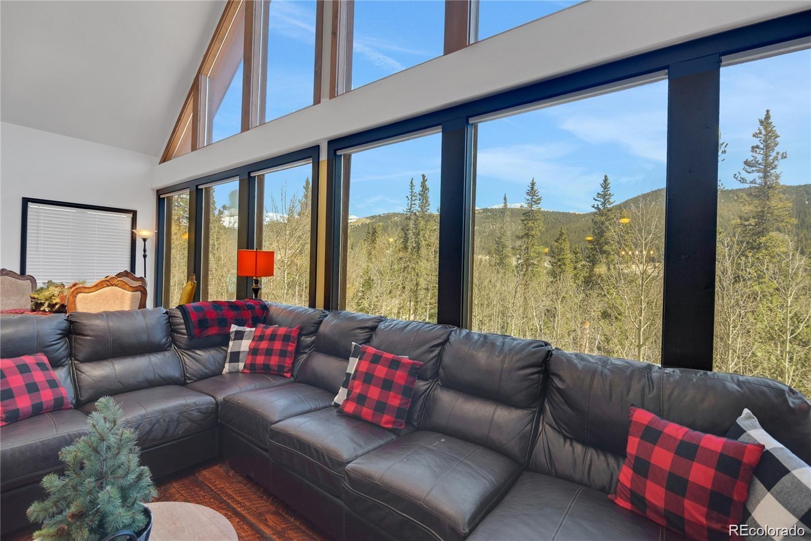MLS Image #1 for 496  quartzville road,alma, Colorado