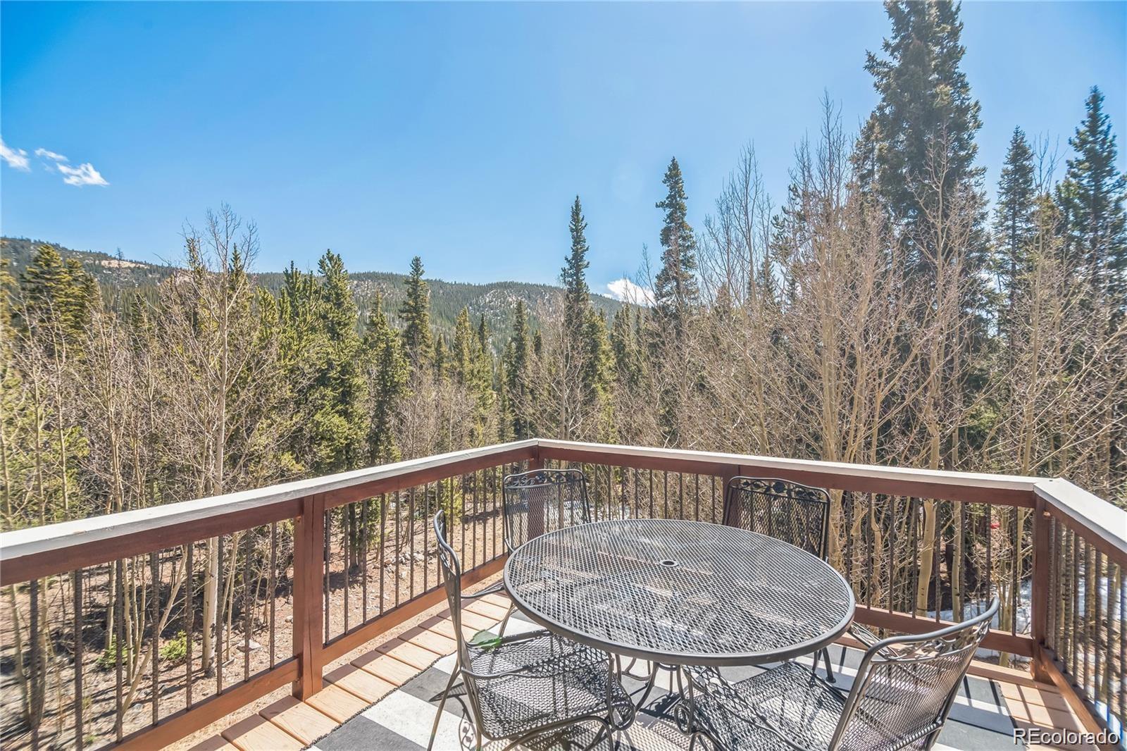 MLS Image #24 for 496  quartzville road,alma, Colorado