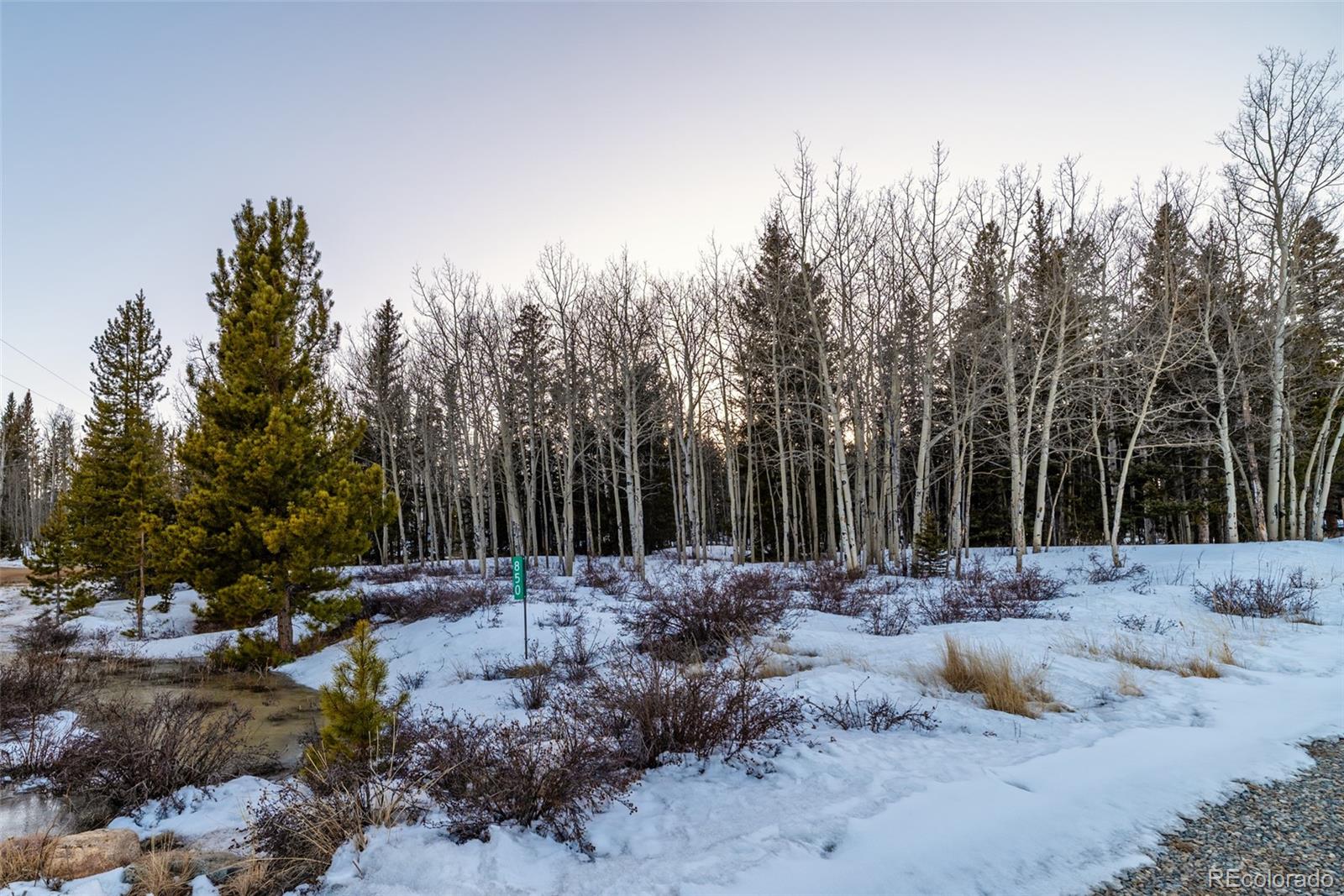 MLS Image #32 for 850  georgia pass lookout ,jefferson, Colorado
