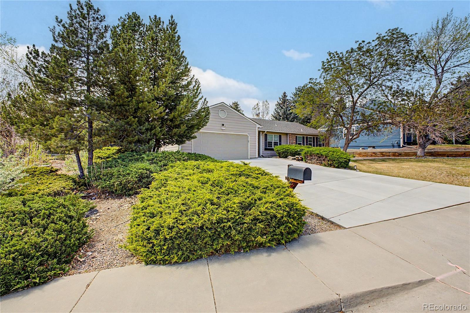MLS Image #6 for 7831  sangre de cristo ,littleton, Colorado